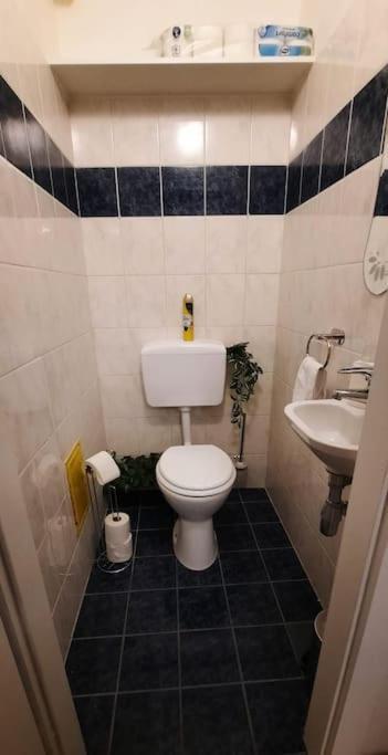 Einzigartiges Apartment Inkl. Gratis Parkplatz Βιέννη Εξωτερικό φωτογραφία